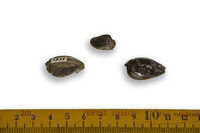 F 01735
<br/>
<br/>
<em></em>